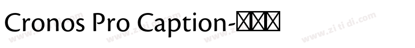Cronos Pro Caption字体转换